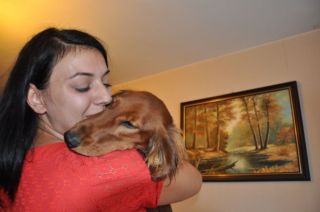 NADIM jamniki Kollapsar